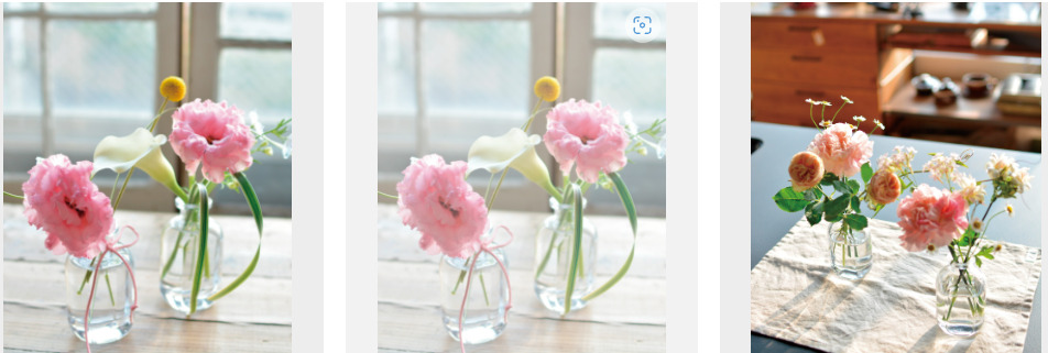魔法の花瓶の花サブスクでもらえるお花の種類について