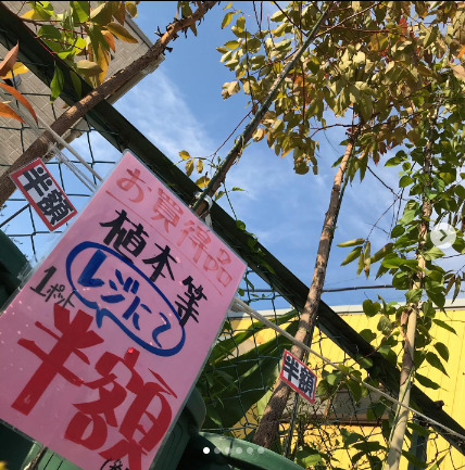 愛知県の園芸店舗⑫：知多園芸 東海店
