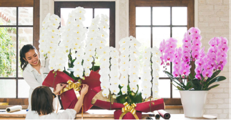 HanaPrime(ハナプライム）は花サブスク以外に、胡蝶蘭などのお花も販売しているサイト