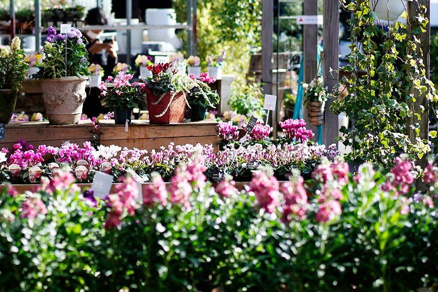 東京都の園芸店舗⑦：グリーンギャラリーガーデンズ