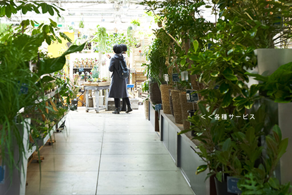 東京都の園芸店舗⑨：プロトリーフ　ガーデンアイランド玉川