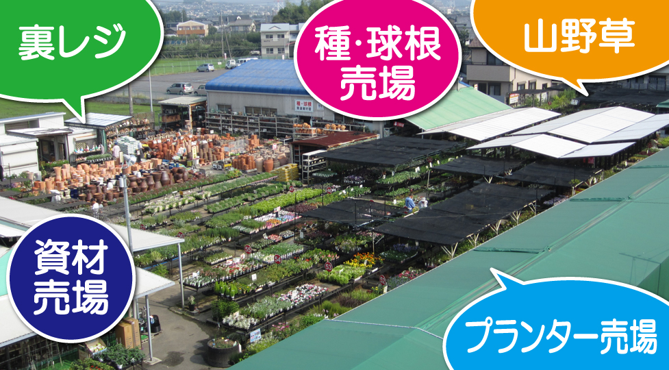愛知県の園芸店舗⑩：三貴フラワーセンター