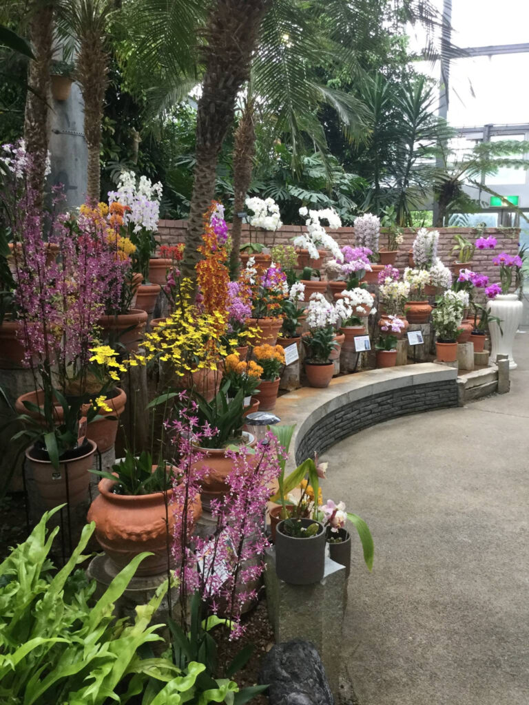 富山の園芸店舗⑥：大井仙樹園