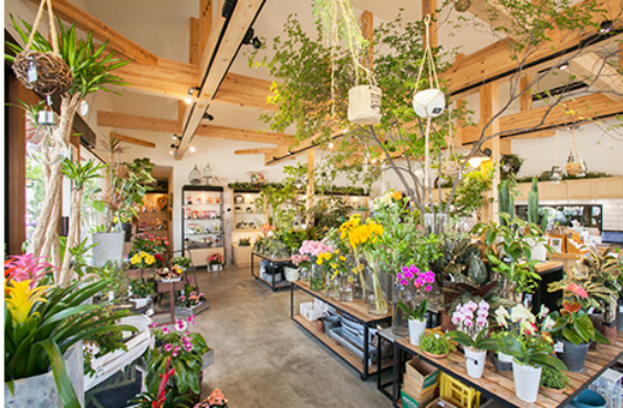 富山の園芸店舗⑪：花メイト
