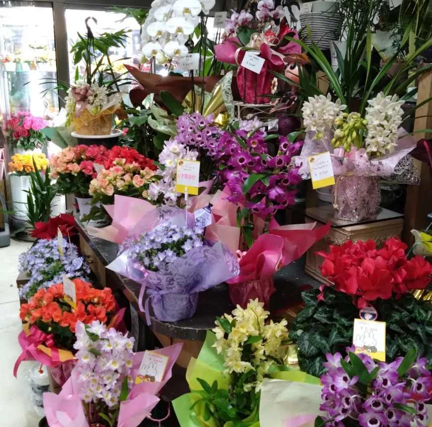 岩手の園芸店舗⑪：花と器 ぐんきん本店