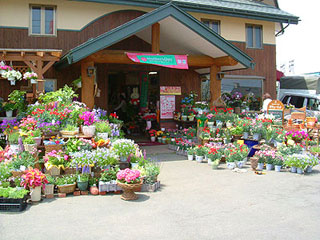 山形の園芸店舗⑮：花泉