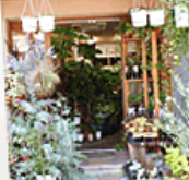島根の園芸店舗⑪：ｆｉｏｒｅｔｔｏ