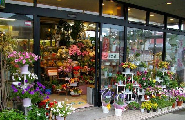 新潟の園芸店舗⑬：ひまわり花壇