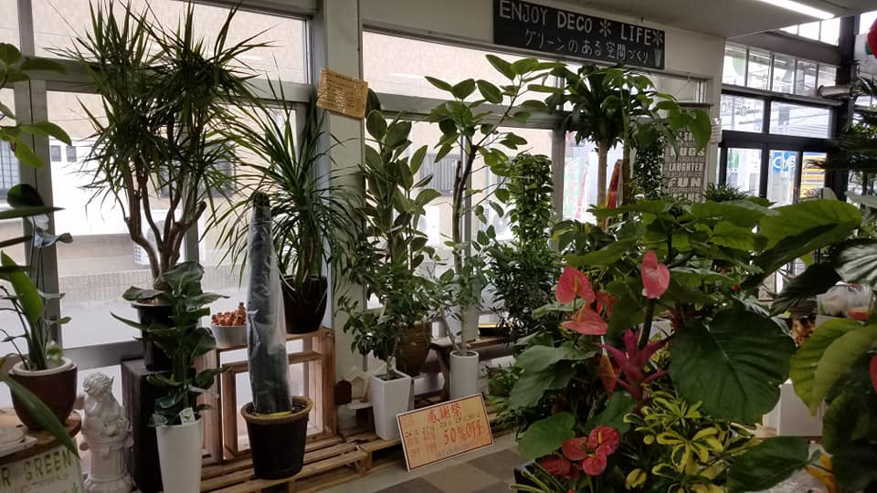 滋賀の園芸店舗⑭：グリーンショップタケオカ