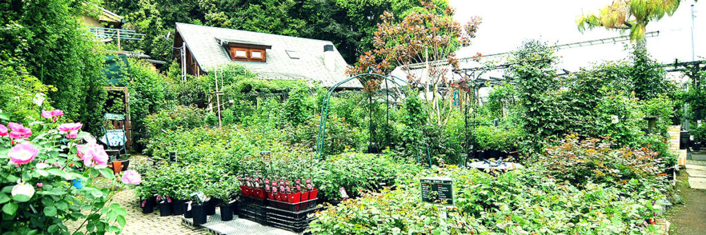 京都の園芸店舗①：まつおえんげい