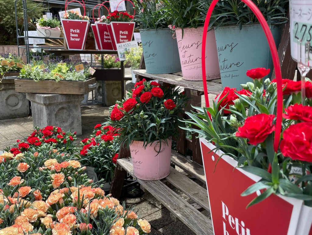 茨城の園芸店舗⑮：憧れ 花のアトリエ