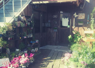鳥取の園芸店舗⑥：フラワーガーデンひだまり