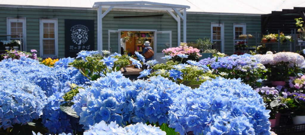 北海道の園芸店舗①：えこりん村 ガーデンテラス花のまきば