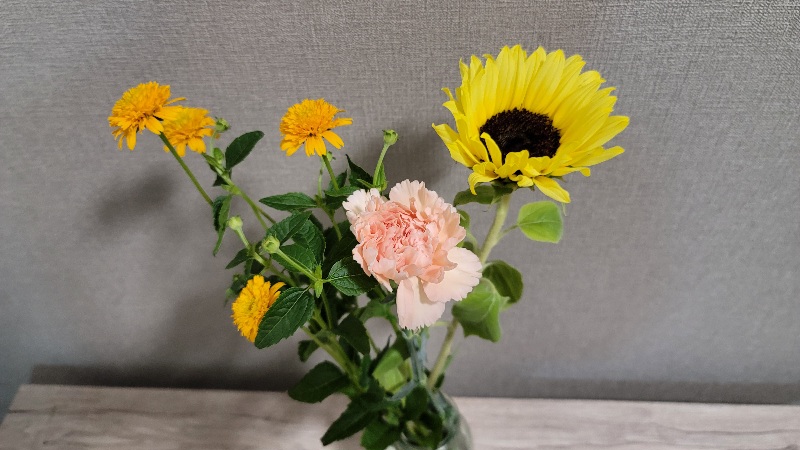 日比谷花壇花ハナノヒは口コミ・評判は良く、花屋によく立ち寄る方におすすめの花サブスク！