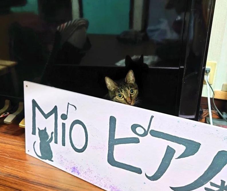 Mioピアノ教室